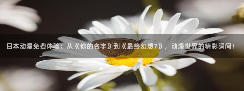 里番动漫樱花：日本动漫免费体验：从《你的名字》到《最终幻想7》，动漫世界的精彩瞬间！