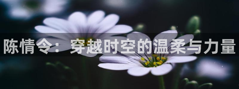 看里番漫画平台：陈情令：穿越时空的温柔与力量