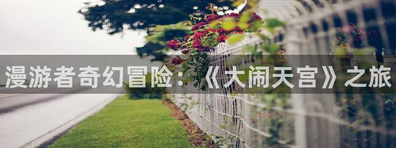 里番漫画agg：漫游者奇幻冒险：《大闹天宫》之旅