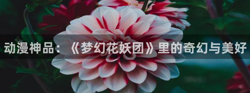 里番动漫免费在线看：动漫神品：《梦幻花妖团》里的奇幻与美好