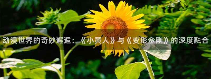 看里番：动漫世界的奇妙邂逅：《小黄人》与《变形金刚》的深度融合