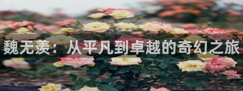 日本动画片里番：魏无羡：从平凡到卓越的奇幻之旅
