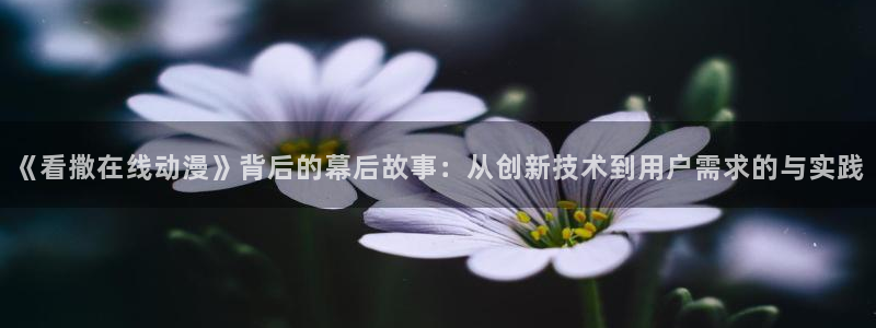 日漫里番漫画：《看撒在线动漫》背后的幕后故事：从创新技术到用户需求的与实践