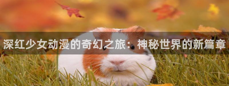推荐里番剧：深红少女动漫的奇幻之旅：神秘世界的新篇章