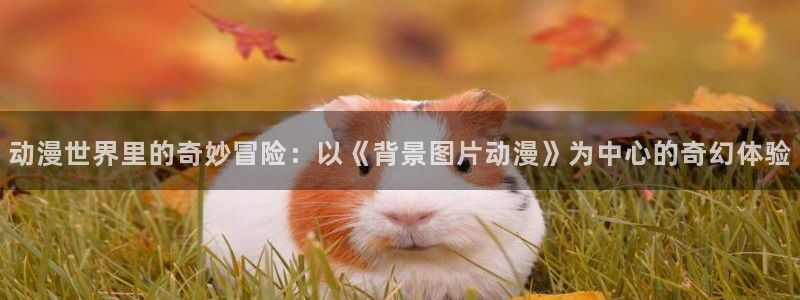 里番动漫在线观看视频：动漫世界里的奇妙冒险：以《背景图片动漫》为中心的奇幻体验