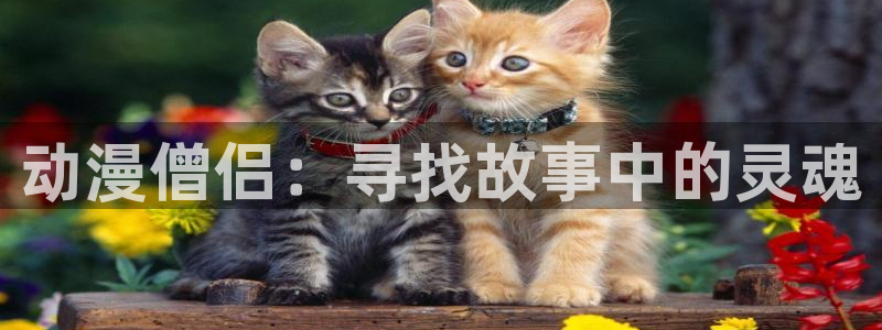 里番ntr动漫：动漫僧侣：寻找故事中的灵魂