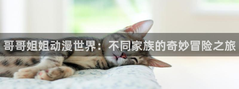 h动漫里番在线观看：哥哥姐姐动漫世界：不同家族的奇妙冒险之旅