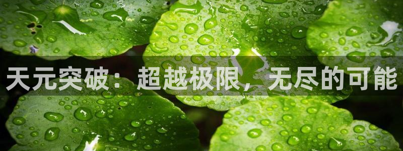 里番肉肉漫画：天元突破：超越极限，无尽的可能