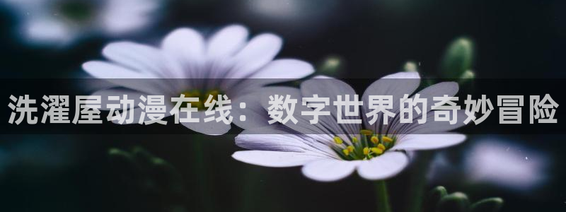 漫画里番在线观看：洗濯屋动漫在线：数字世界的奇妙冒险