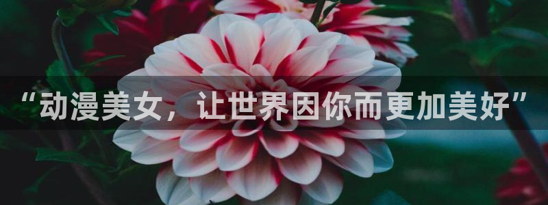 第一动漫网里番：“动漫美女，让世界因你而更加美好”