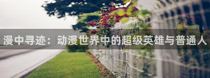 3d成人动漫里番：漫中寻迹：动漫世界中的超级英雄与普通人