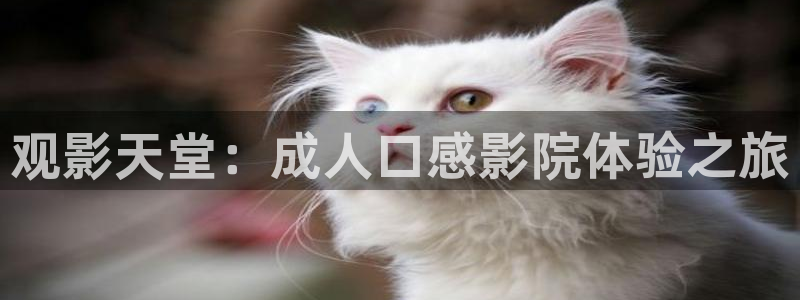 acg漫画全彩里番：观影天堂：成人口感影院体验之旅