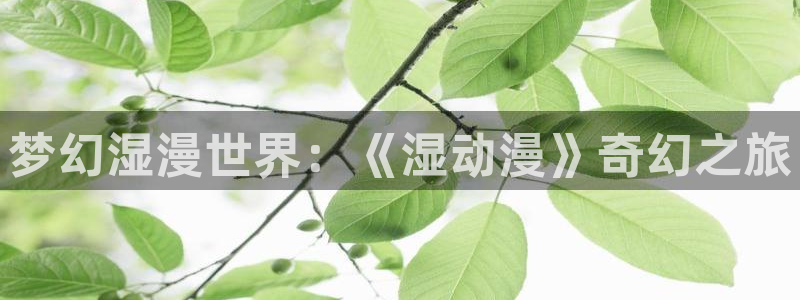 里番动漫第一：梦幻湿漫世界：《湿动漫》奇幻之旅