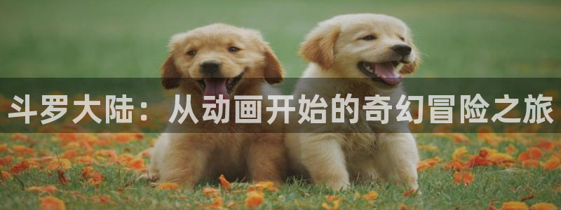 里番动漫触手：斗罗大陆：从动画开始的奇幻冒险之旅