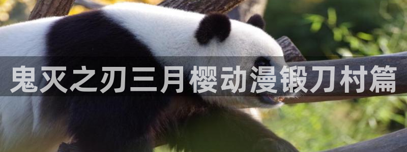里番动漫影视：鬼灭之刃三月樱动漫锻刀村篇