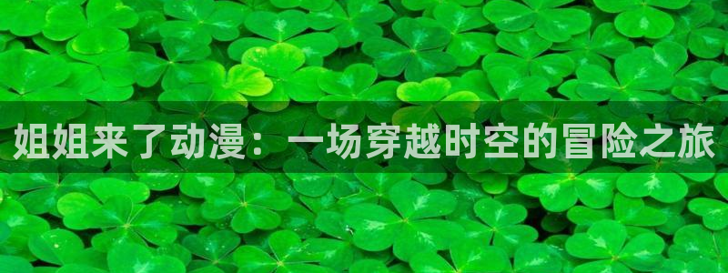 里番动漫是什么?：姐姐来了动漫：一场穿越时空的冒险之旅