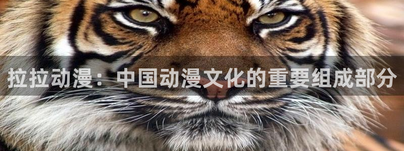 里番漫画 在线：拉拉动漫：中国动漫文化的重要组成部分