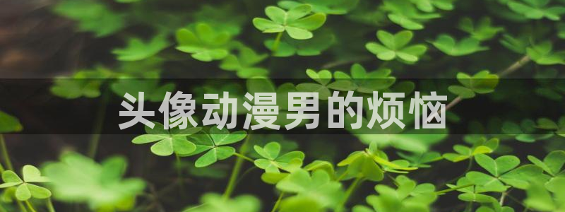 里番嗨动漫：头像动漫男的烦恼