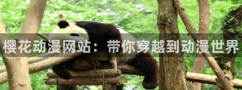 里番3d动漫在线观看：樱花动漫网站：带你穿越到动漫世界