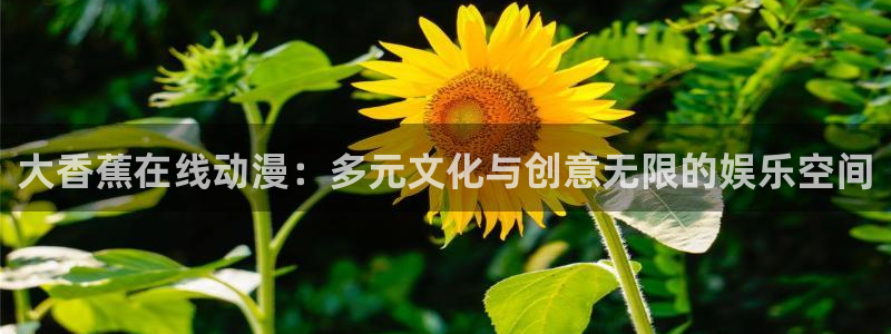 里番 漫画：大香蕉在线动漫：多元文化与创意无限的娱乐空间