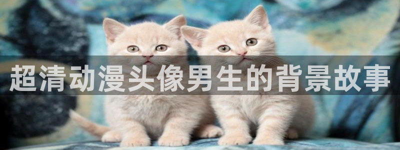 里番漫画之海贼王