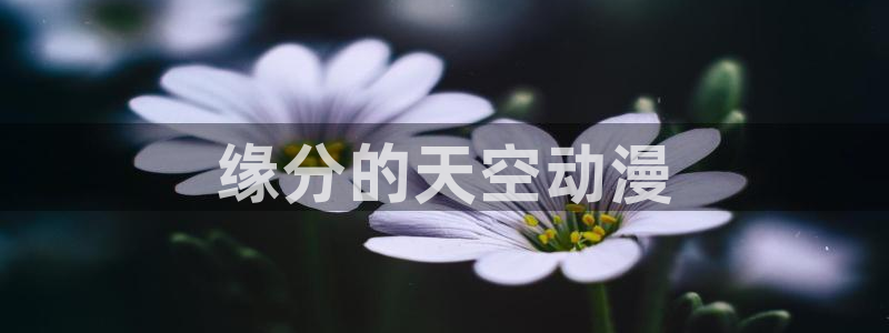 旧里番3d动漫