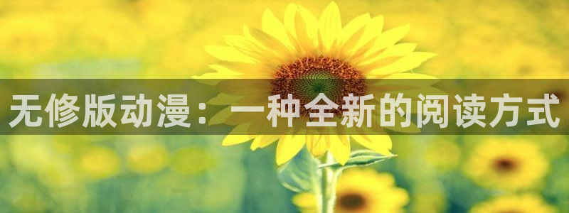 ova里番动画