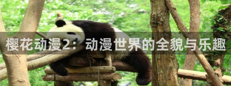 里番动漫图片