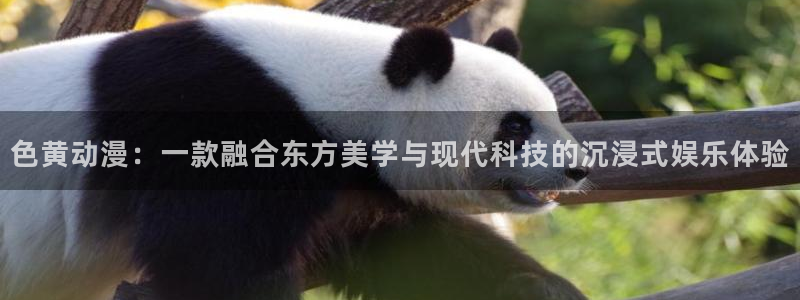 里番动漫应用