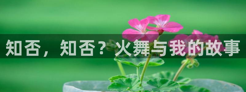 旧里番日本动漫