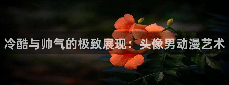 动漫里番推荐网站