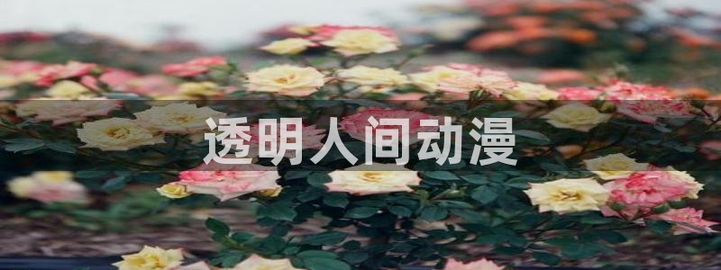 里番全彩漫画