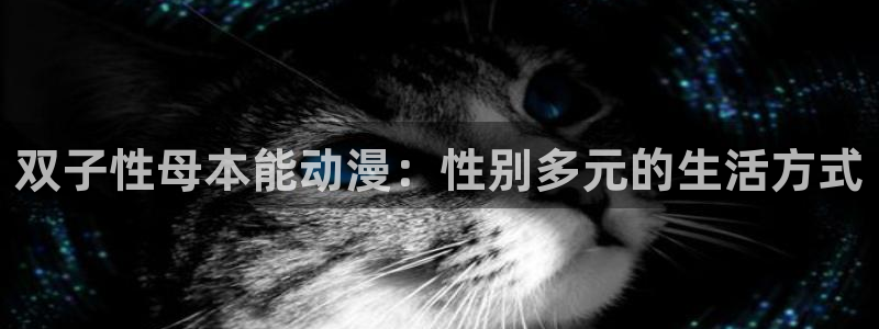 里番动漫之家
