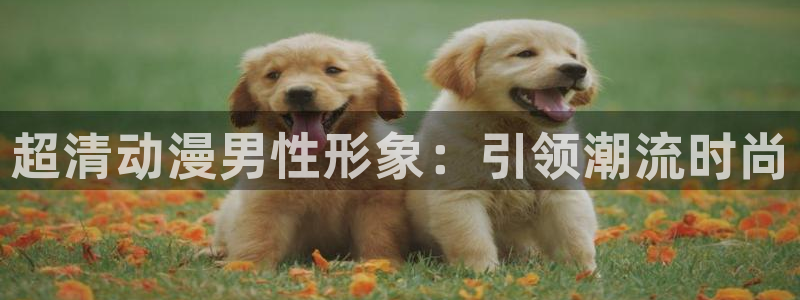 3d动画里番