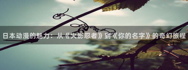 漫画h里番：日本动漫的魅力：从《火影忍者》到《你的名字》的奇幻旅程