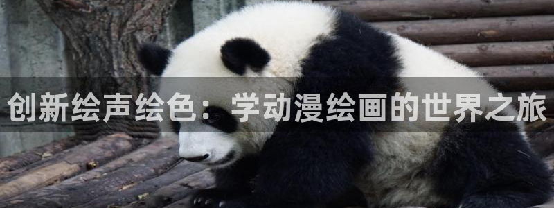 里番动漫总站：创新绘声绘色：学动漫绘画的世界之旅